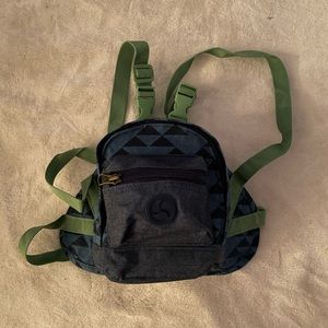 Pet Backpack